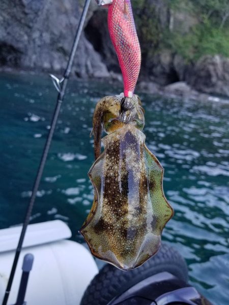 まだまだ・・。